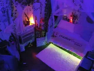 voyeurcam veccasalt 01's Live Sex Cam Show