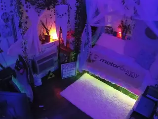 voyeurcam veccasalt 01's Live Sex Cam Show