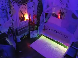 voyeurcam veccasalt 01's Live Sex Cam Show