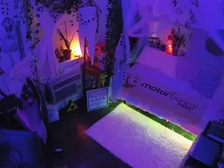 voyeurcam veccasalt 01's Live Sex Cam Show