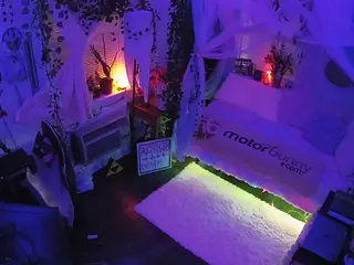 voyeurcam veccasalt 01's Live Sex Cam Show