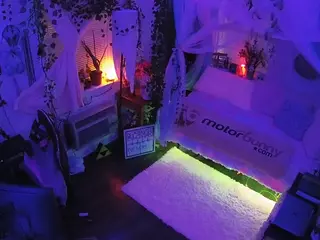 voyeurcam veccasalt 01's Live Sex Cam Show