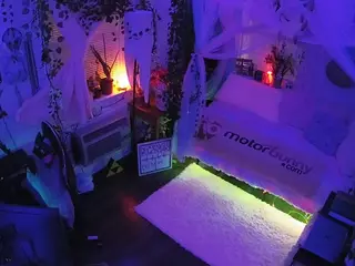 voyeurcam veccasalt 01's Live Sex Cam Show