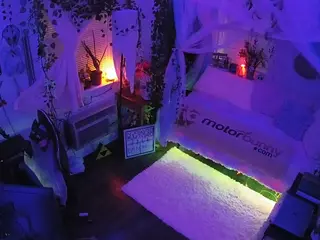 voyeurcam veccasalt 01's Live Sex Cam Show
