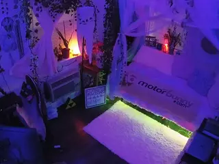 voyeurcam veccasalt 01's Live Sex Cam Show