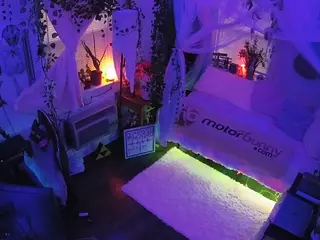 voyeurcam veccasalt 01's Live Sex Cam Show