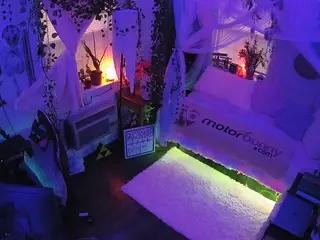 voyeurcam veccasalt 01's Live Sex Cam Show