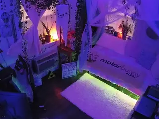 voyeurcam veccasalt 01's Live Sex Cam Show