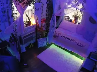 voyeurcam veccasalt 01's Live Sex Cam Show