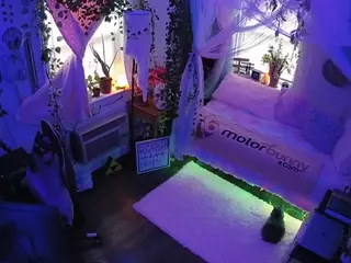 voyeurcam veccasalt 01's Live Sex Cam Show