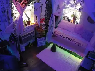 voyeurcam veccasalt 01's Live Sex Cam Show