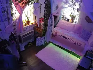 voyeurcam veccasalt 01's Live Sex Cam Show
