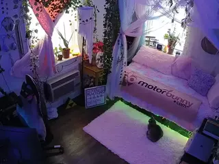 voyeurcam veccasalt 01's Live Sex Cam Show