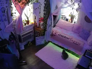 voyeurcam veccasalt 01's Live Sex Cam Show