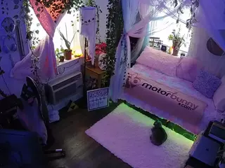 voyeurcam veccasalt 01's Live Sex Cam Show