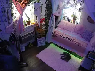 voyeurcam veccasalt 01's Live Sex Cam Show