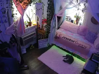 voyeurcam veccasalt 01's Live Sex Cam Show