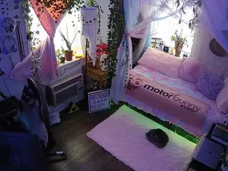 voyeurcam veccasalt 01's Live Sex Cam Show