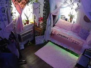 voyeurcam veccasalt 01's Live Sex Cam Show