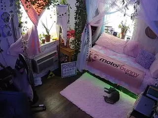 voyeurcam veccasalt 01's Live Sex Cam Show