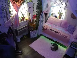 voyeurcam veccasalt 01's Live Sex Cam Show