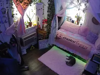 voyeurcam veccasalt 01's Live Sex Cam Show