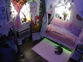 voyeurcam veccasalt 01's Live Sex Cam Show