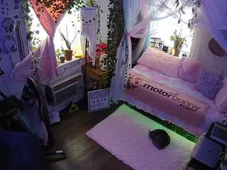 voyeurcam veccasalt 01's Live Sex Cam Show