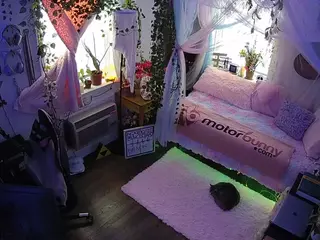 voyeurcam veccasalt 01's Live Sex Cam Show