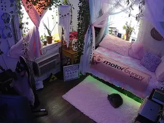 voyeurcam veccasalt 01's Live Sex Cam Show