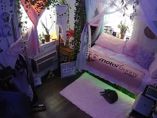 voyeurcam veccasalt 01's Live Sex Cam Show
