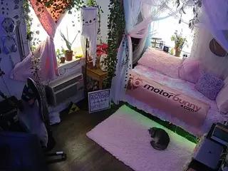voyeurcam veccasalt 01's Live Sex Cam Show