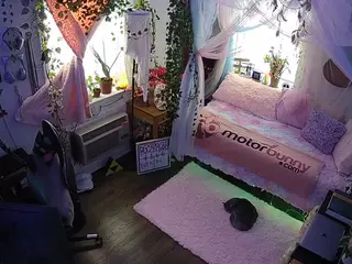 voyeurcam veccasalt 01's Live Sex Cam Show