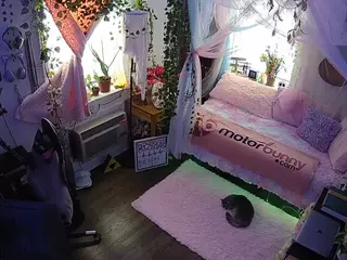 voyeurcam veccasalt 01's Live Sex Cam Show