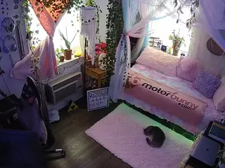 voyeurcam veccasalt 01's Live Sex Cam Show