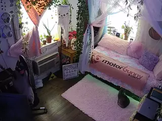 voyeurcam veccasalt 01's Live Sex Cam Show