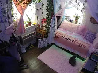 voyeurcam veccasalt 01's Live Sex Cam Show