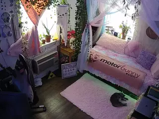 voyeurcam veccasalt 01's Live Sex Cam Show