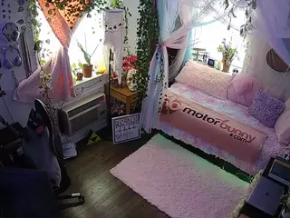 voyeurcam veccasalt 01's Live Sex Cam Show