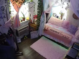 voyeurcam veccasalt 01's Live Sex Cam Show