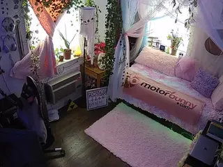 voyeurcam veccasalt 01's Live Sex Cam Show