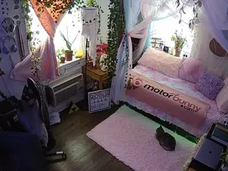 voyeurcam veccasalt 01's Live Sex Cam Show