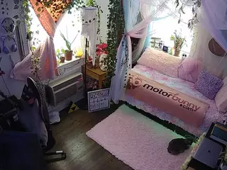 voyeurcam veccasalt 01's Live Sex Cam Show