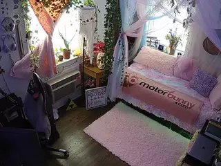 voyeurcam veccasalt 01's Live Sex Cam Show