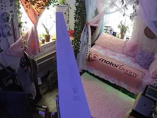 voyeurcam veccasalt 01's Live Sex Cam Show