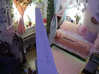 voyeurcam veccasalt 01's Live Sex Cam Show