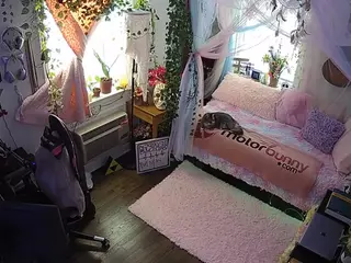 voyeurcam veccasalt 01's Live Sex Cam Show