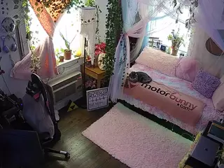 voyeurcam veccasalt 01's Live Sex Cam Show