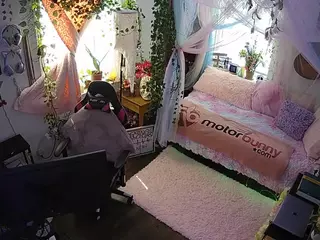 voyeurcam veccasalt 01's Live Sex Cam Show