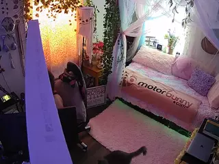 voyeurcam veccasalt 01's Live Sex Cam Show